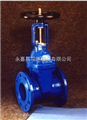 Z41X明桿彈性閘閥